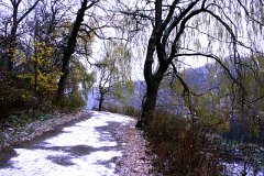 photo 0245